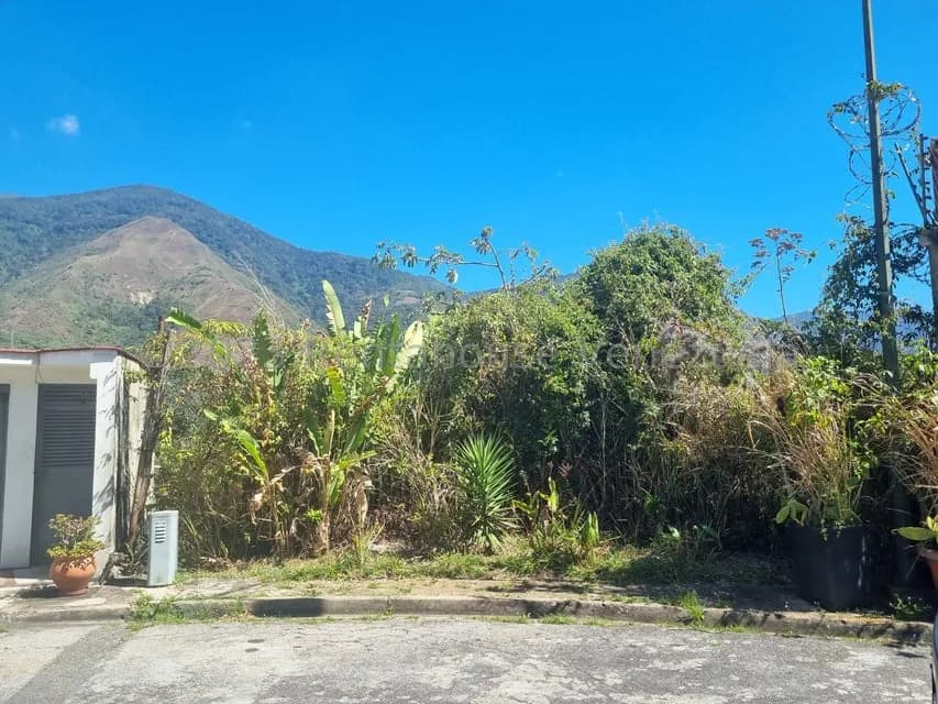 Terreno (Residencial) en Venta en Miranda, Distrito Metropolitano
