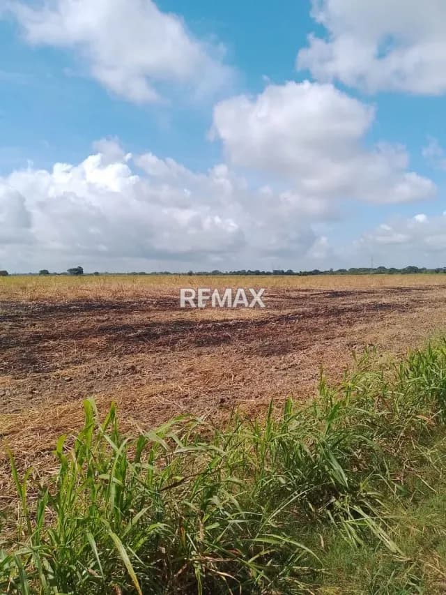¡Excelente Oportunidad! TERRENO EN VENTA, SECTOR MIRAFLORES, ARAURE.
