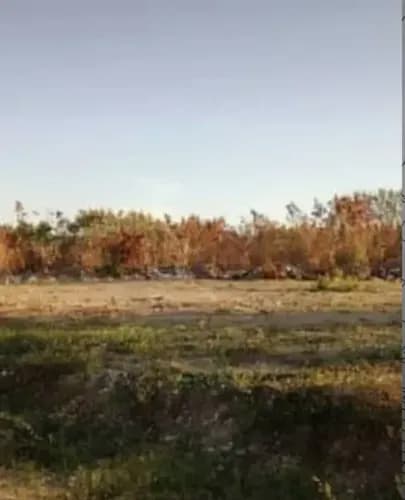 Terreno En Av Principal, Ciudad Alianza, Guacara