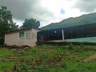 Mini Finca en venta en el Sector Pueblo Nuevo de la parroquia Guanaguana.