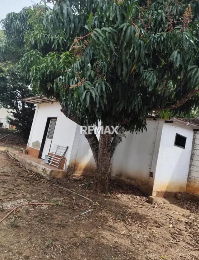 Alquiler de Habitación para Dama Agua viva Cabudare