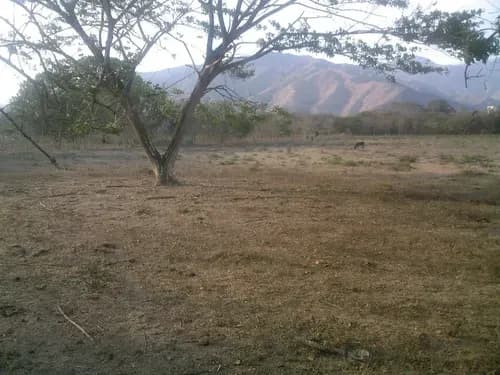 Terreno En Venta Urb Monteserino San Diego. Cod. Plt-223 Norail Machado
