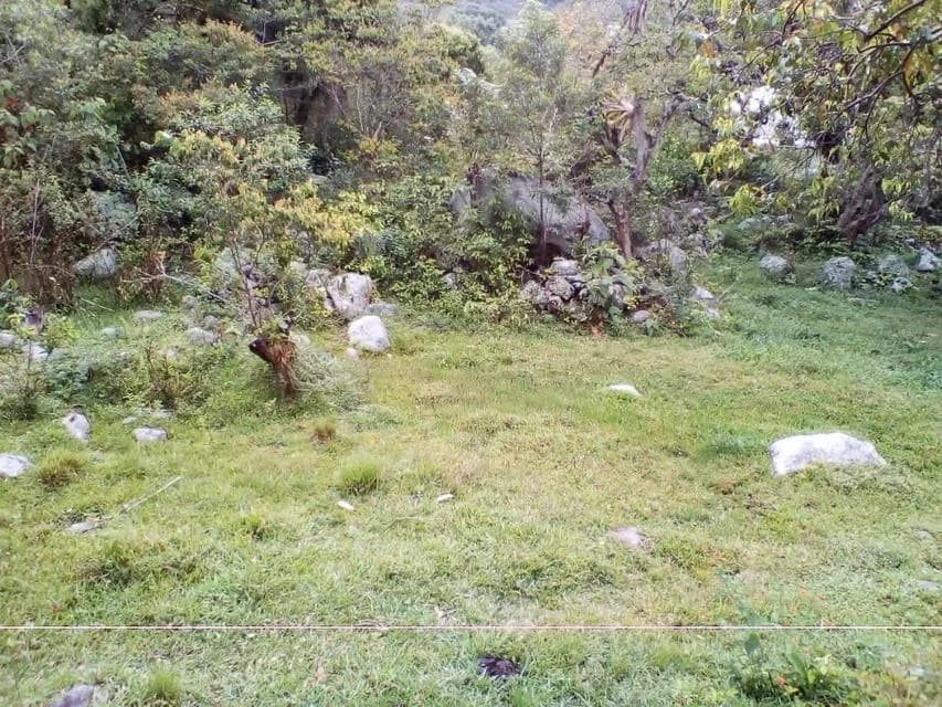 Terreno (Residencial) en Venta en El Valle, Merida