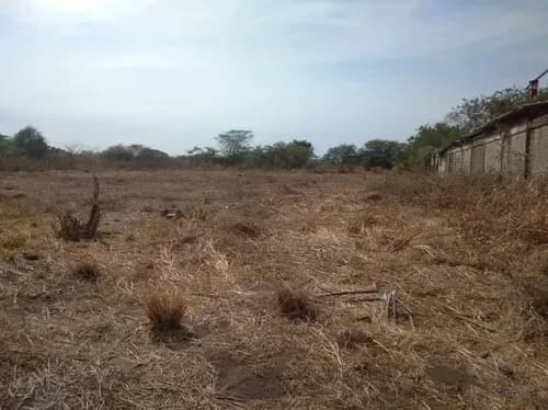 Terreno En Venta En La Zona Industrial El Tigre Guacara