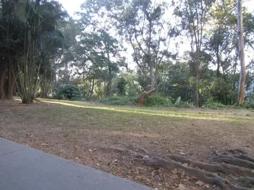 Terreno En Venta Los Naranjos Del Cafetal Jose Carrillo Bm Mls #24-22900