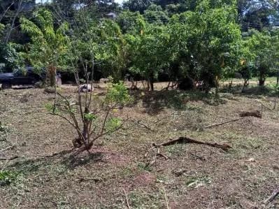 Terreno en venta - $40k