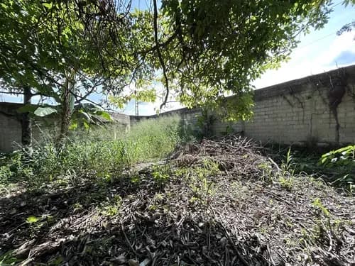 Lm Terreno En Venta Con Casa Y Galpón En Rotafe, Naguanagua Carabobo 324356