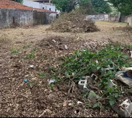 Terreno En Alquiler, A Pie De Calle Cerca Del Misael Delgado. Cuenta Con 588 M2 Servicio Acueducto Cloacas Electricidad Cliente Ofeece 2 Meses De Gracia(asesora Andrea Pacheco)