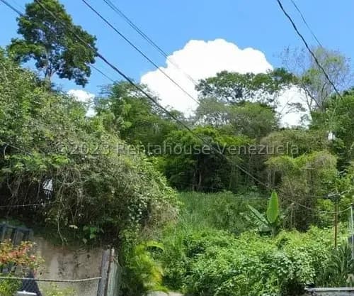 24-1337 Ely Toubia Terreno En Venta