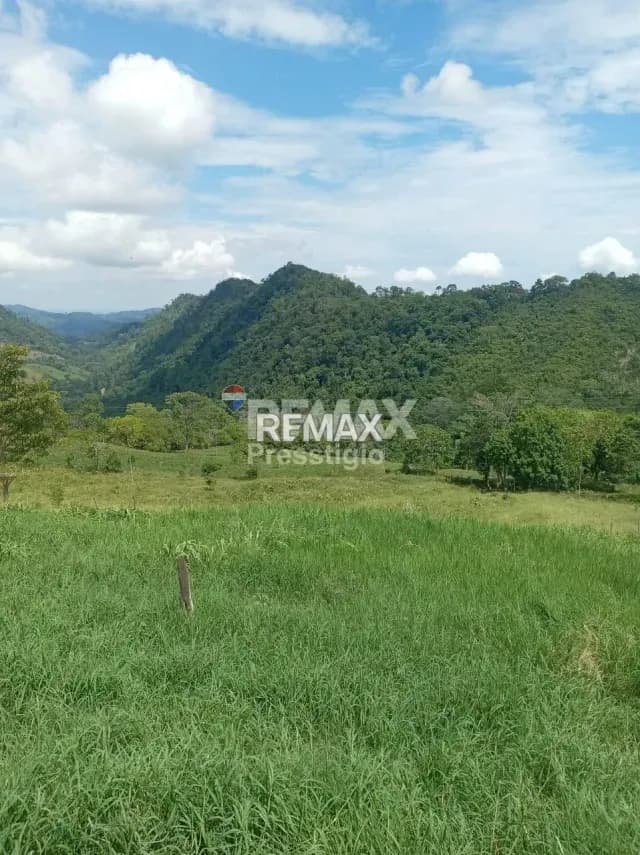 Finca en Venta