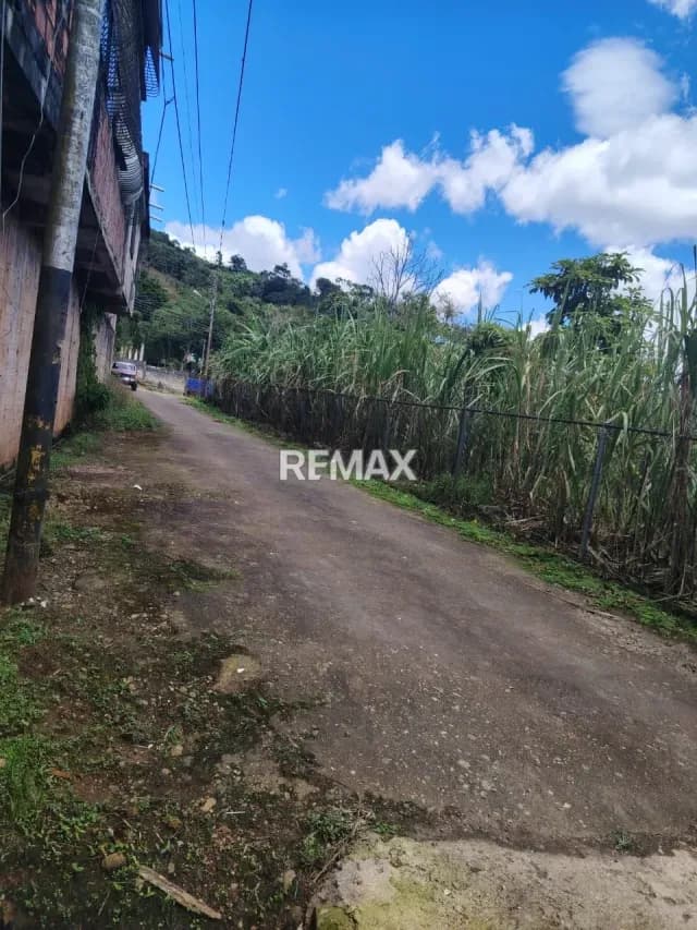 SE VENDE TERRENO EN EL JUNCO DE TARIBA