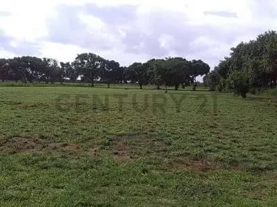 TERRENO EN VENTA EN LA AVENIDA INTERCOMUNAL DE LA CIUDAD DE EL TIGRE